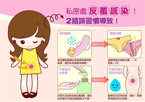 女性私密處構造|女性生殖系統、女性陰道口位置圖片